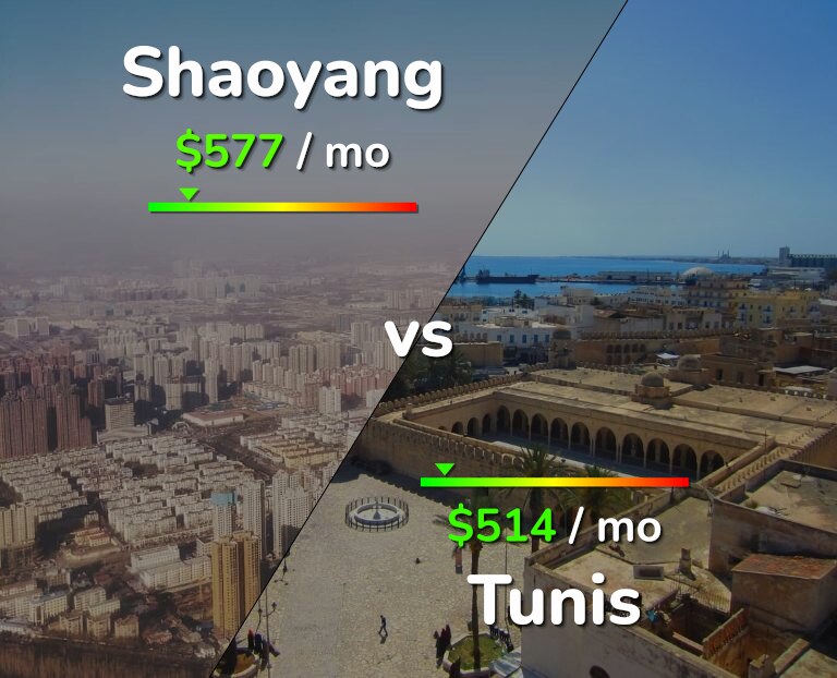 Cost of living in Shaoyang vs Tunis infographic