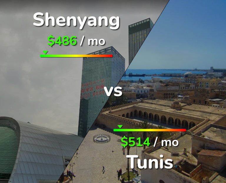 Cost of living in Shenyang vs Tunis infographic