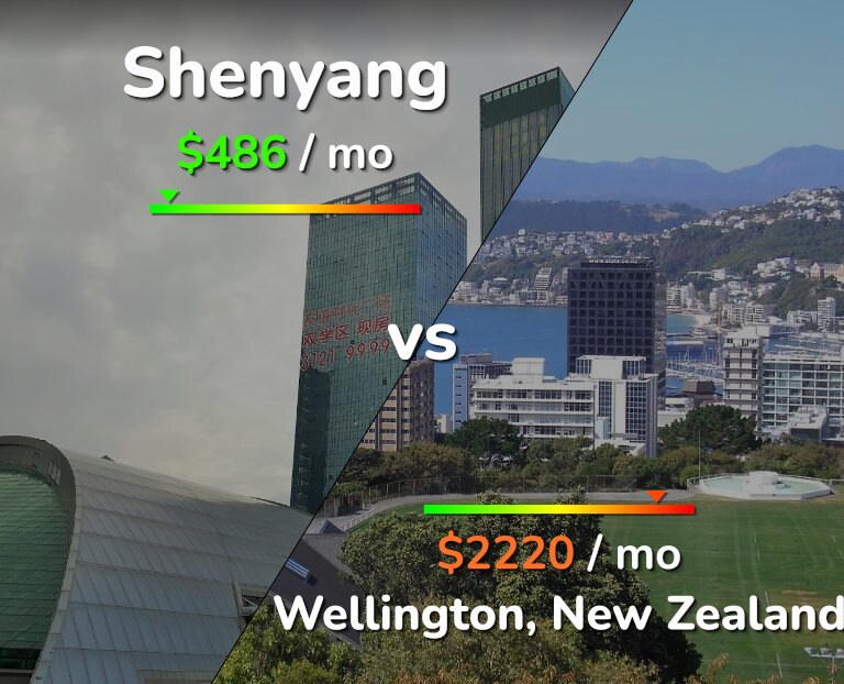 Cost of living in Shenyang vs Wellington infographic