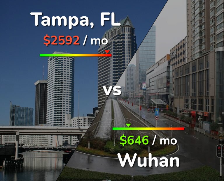Cost of living in Tampa vs Wuhan infographic