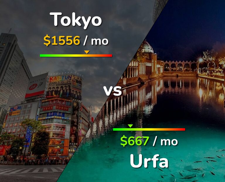 Cost of living in Tokyo vs Urfa infographic