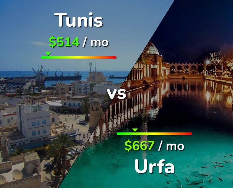 Cost of living in Tunis vs Urfa infographic