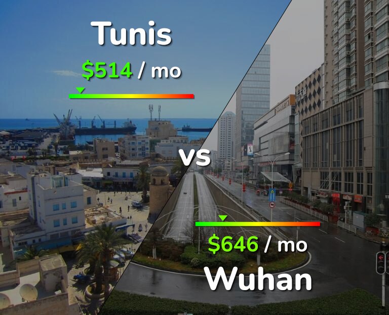 Cost of living in Tunis vs Wuhan infographic