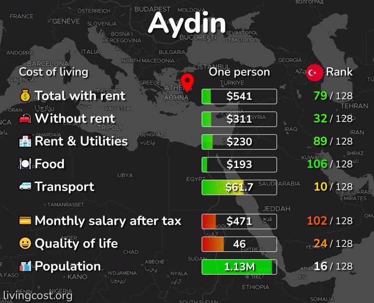 Cost of living in Aydin infographic