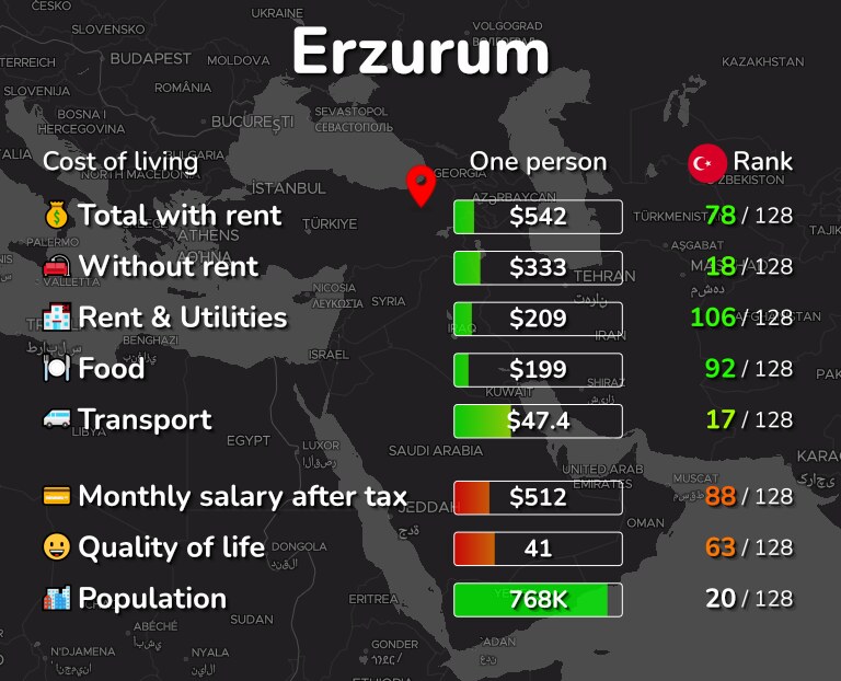 Cost of living in Erzurum infographic