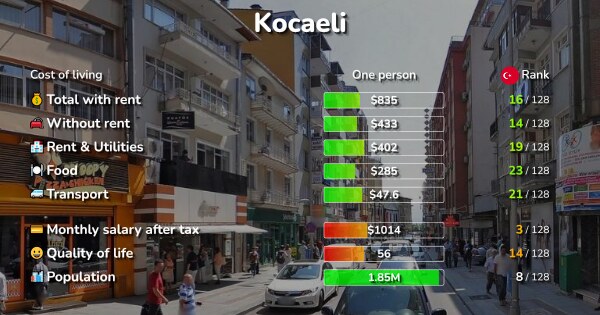 Cost of Living & Prices in Kocaeli, Turkey 2020: rent ...